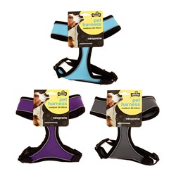 Harness Pet Neoprene Medium 38-48cm 3 Asstd Colours