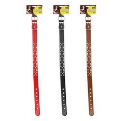 Collar Dog Studded 3.0x60cm 3 Asstd Colours