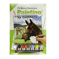 Painting By Numbers Junior Small Equine Paddock