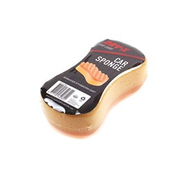 Car Sponge 200x95mm