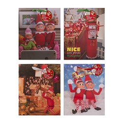 Xmas Elves BB Gift Bag Large 260x324x127mm 4 Asstd
