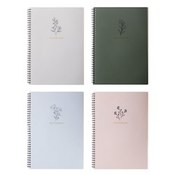 Notebook PP Cover Printed Spiral 4 Asstd A4 120pg