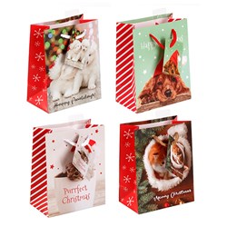 Gift Bag Xmas Basic 157gsm Small w Jhook 4 Asstd Pet