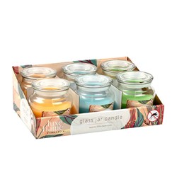 Candle Citronella in Glass Jar w Lid 10x10x11cm 32hr Asst Col