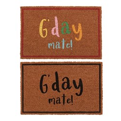 Mat Coir 2 Design Multi Col Rubber Backed 40x60cm