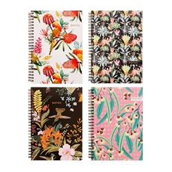 Notebook Hard Cover Printed Spiral Australia 4Ast A4 120pg