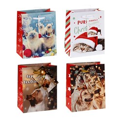 Gift Bag Xmas Basic 157gsm Small w Jhook 4 Asstd Pet