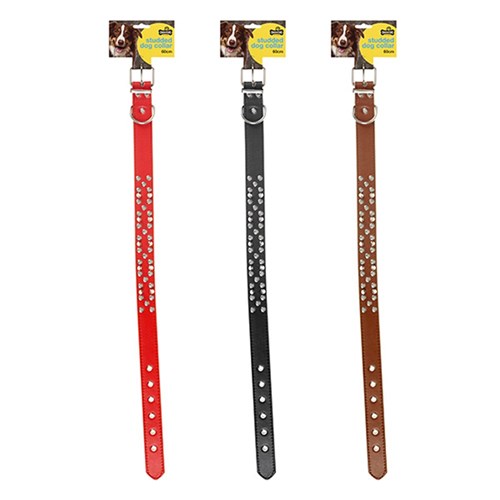 Collar Dog Studded 3.0x60cm 3 Asstd Colours