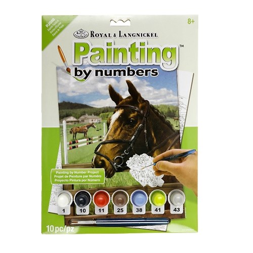 Painting By Numbers Junior Small Equine Paddock