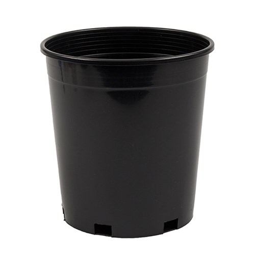 Growers Pot Black 16cm Dia 17.5cm High