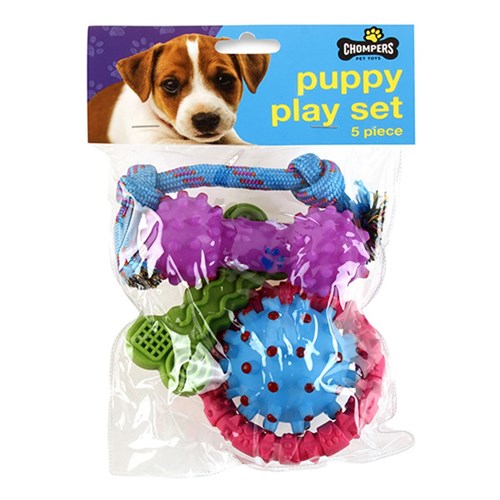 Dog Toy Puppy Pack 5pc