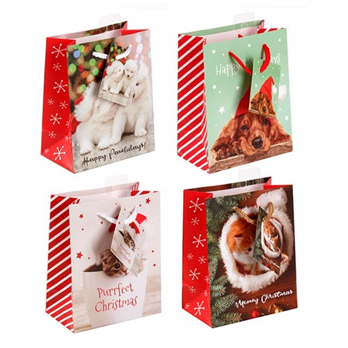 Gift Bag Xmas Basic 157gsm Small w Jhook 4 Asstd Pet