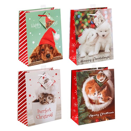 Gift Bag Xmas Basic 157gsm Medium w Jhook 4 Asstd Pet