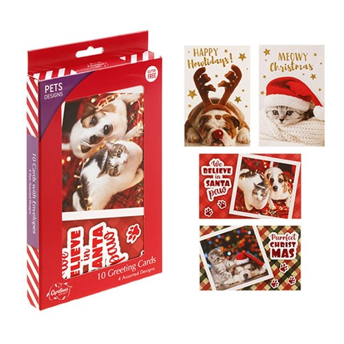 Cards Xmas Box 10 115x177mm Textured Foil Cats Dogs
